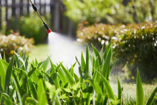 Tamper-Resistant Bait Stations for Rodents in Huber Ridge