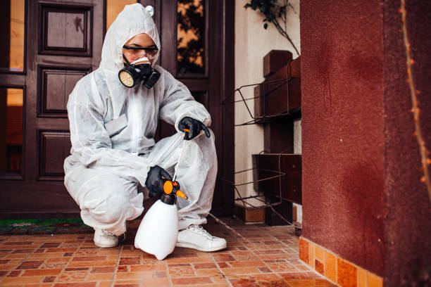 Attic and Crawl Space Rodent Treatment in Huber Ridge