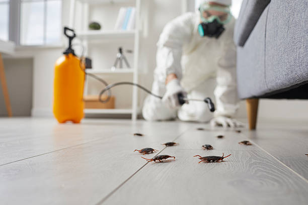 Commercial Rodent Management in Huber Ridge